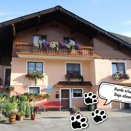 Appartement Am Hauser Kaibling Exteriör bild